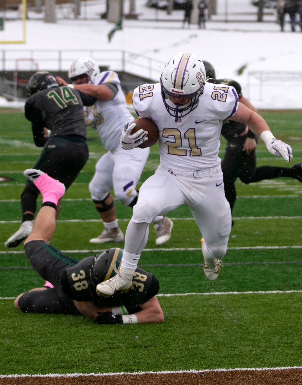 Rocky hosts Carroll